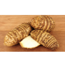 Malanga