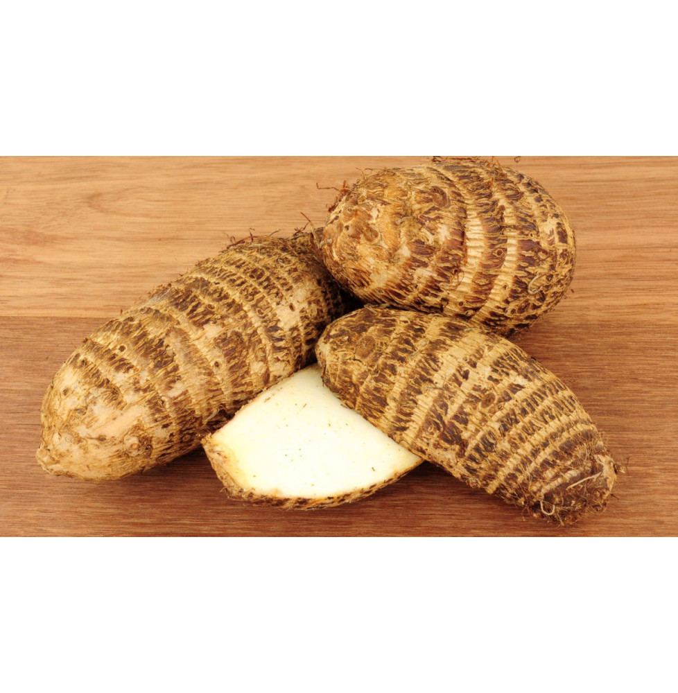 Malanga